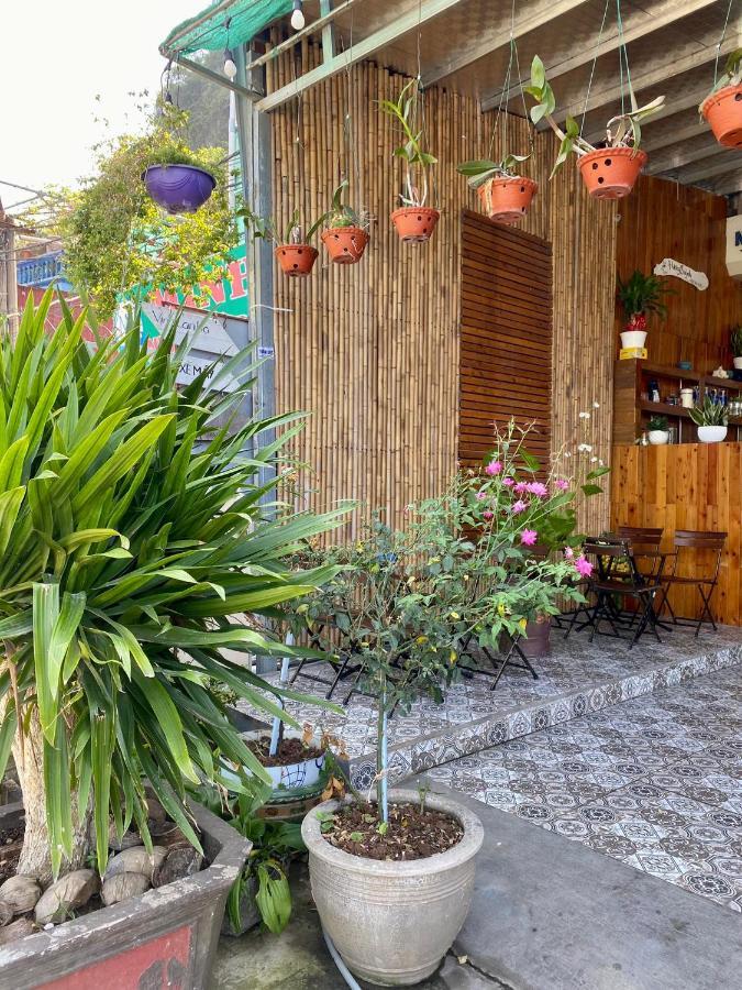 Huong Quynh Homestay 海防 外观 照片