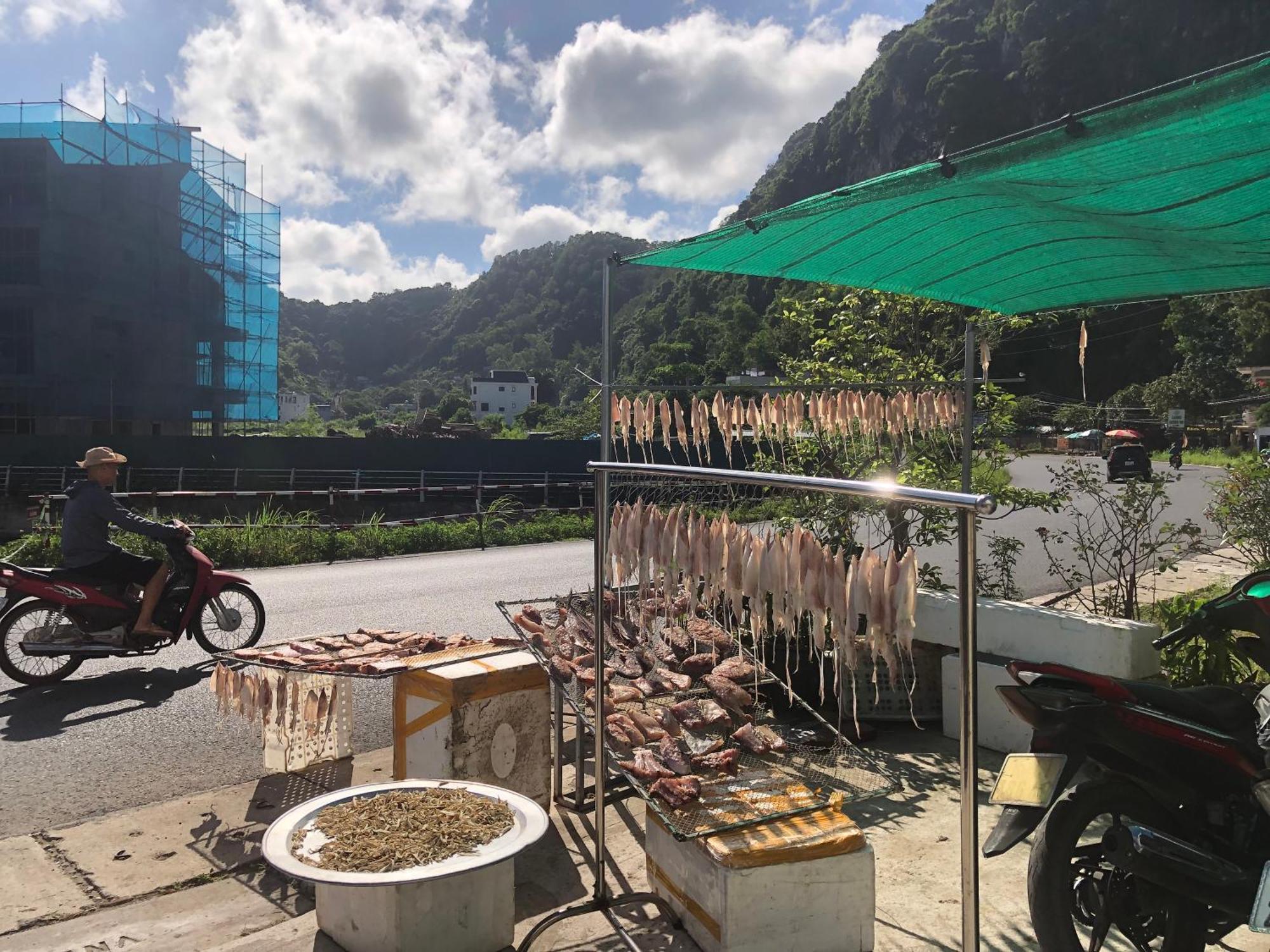 Huong Quynh Homestay 海防 外观 照片